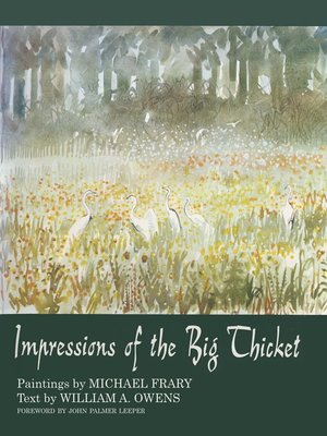 cover image of Impressions of the Big Thicket